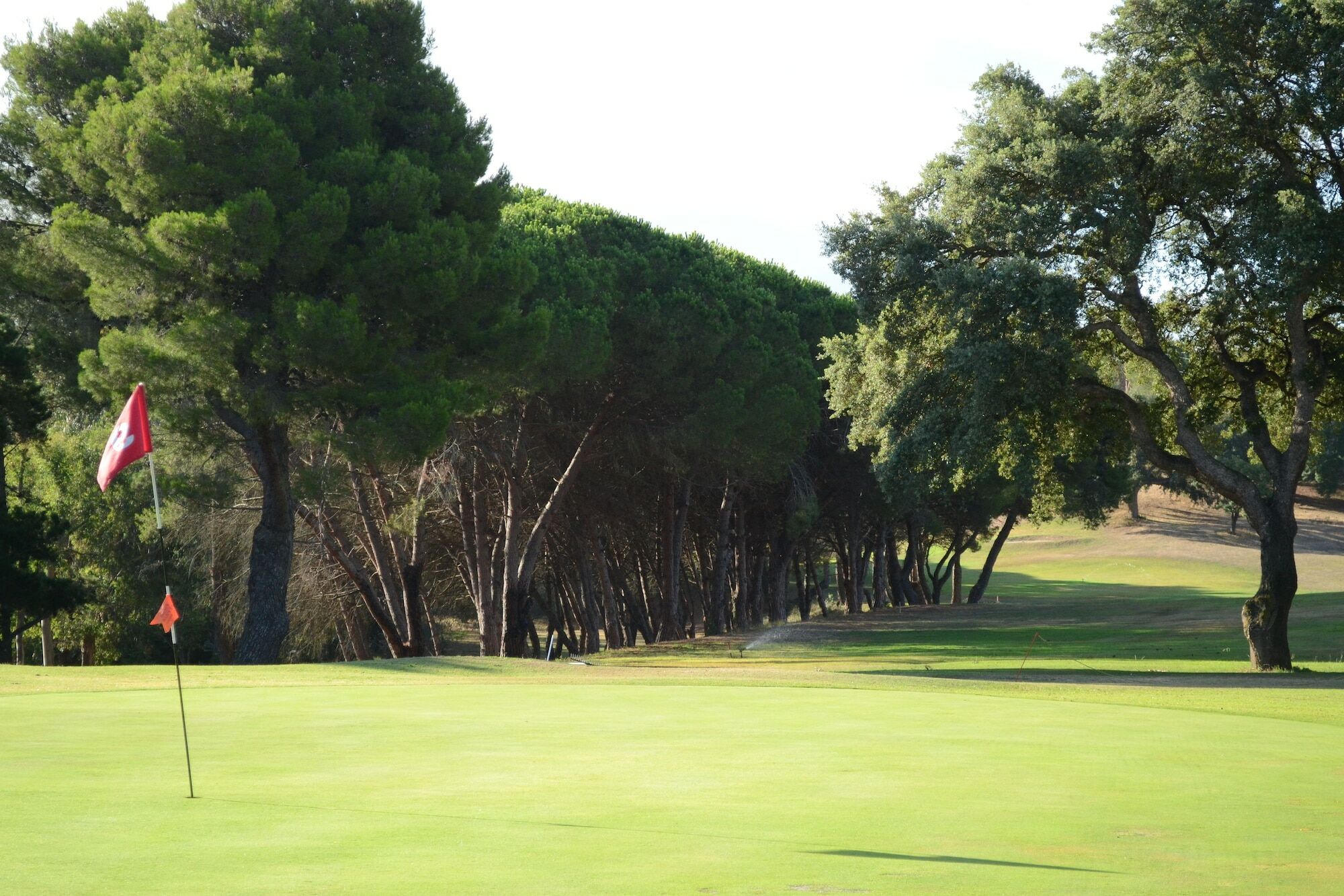 Aparthotel Allegroitalia Elba Golf